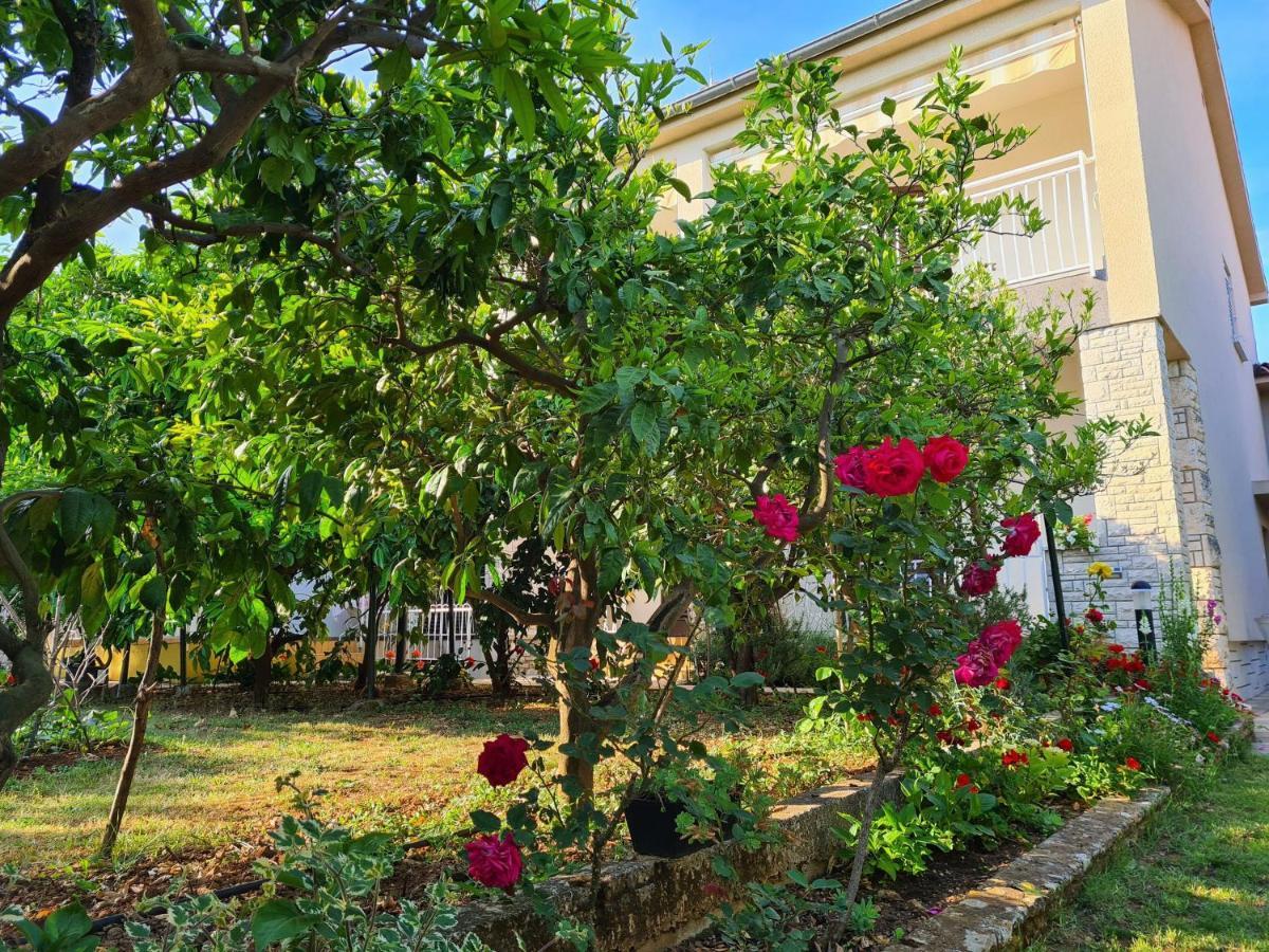 Apartments Ana ميدولين المظهر الخارجي الصورة